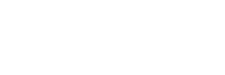 Sinnek Logo