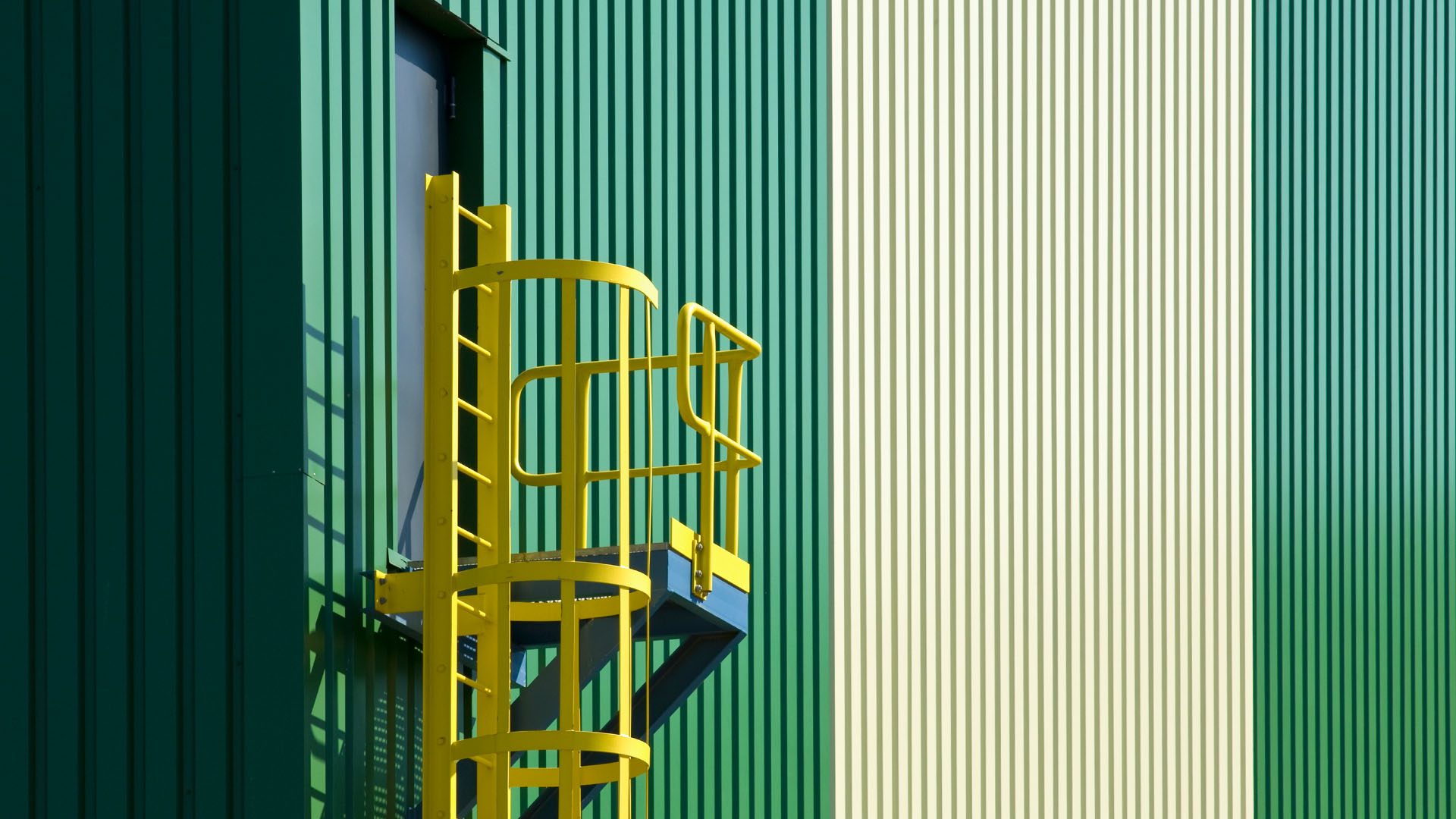 The side of a metal industrial building painted in green with a metal ladder painted in yellow on the side.